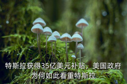特斯拉獲得35億美元補(bǔ)貼，美國政府為何如此看重特斯拉