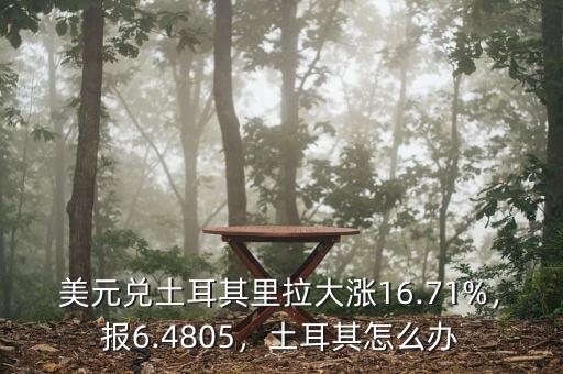 美元兌土耳其里拉大漲16.71%，報(bào)6.4805，土耳其怎么辦