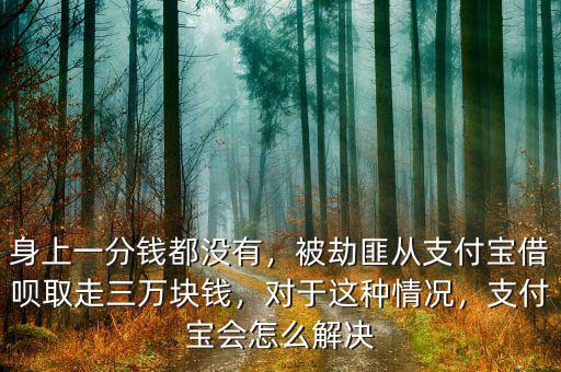 身上一分錢都沒有，被劫匪從支付寶借唄取走三萬塊錢，對于這種情況，支付寶會怎么解決
