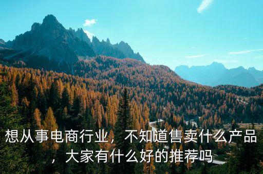 想從事電商行業(yè)，不知道售賣什么產(chǎn)品，大家有什么好的推薦嗎