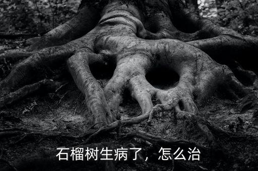 石榴樹生病了，怎么治