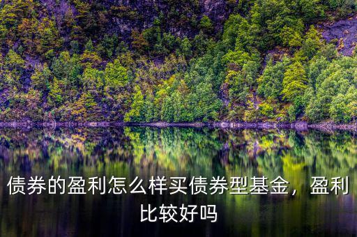 債券的盈利怎么樣買債券型基金，盈利比較好嗎