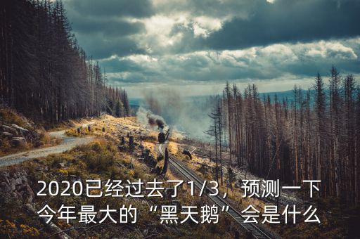 2020已經(jīng)過去了1/3，預測一下今年最大的“黑天鵝”會是什么