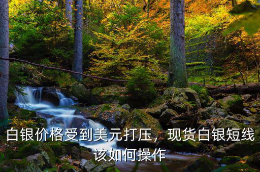白銀價(jià)格受到美元打壓，現(xiàn)貨白銀短線該如何操作