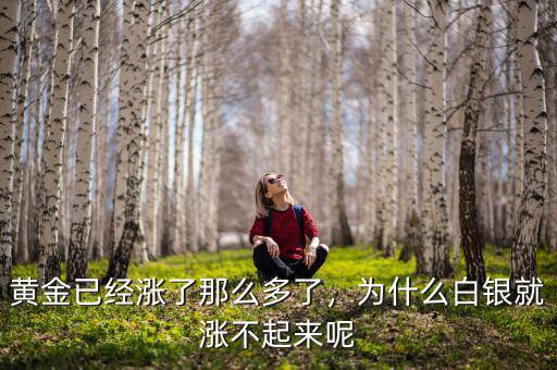 為什么戰(zhàn)爭白銀會漲,為什么白銀就漲不起來呢