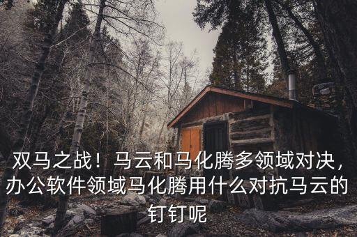 雙馬之戰(zhàn)！馬云和馬化騰多領域對決，辦公軟件領域馬化騰用什么對抗馬云的釘釘呢