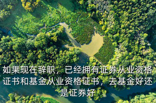 如果現(xiàn)在辭職，已經(jīng)擁有證券從業(yè)資格證書(shū)和基金從業(yè)資格證書(shū)，去基金好還是證券好
