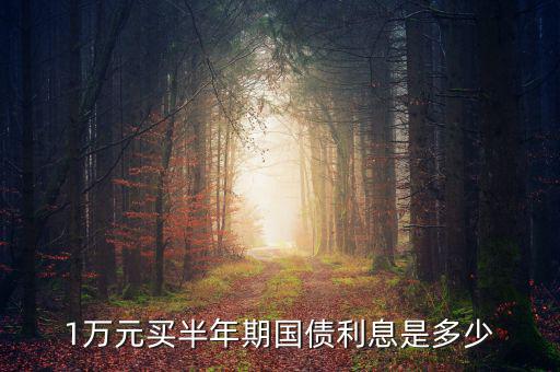 買電孑式國(guó)債1萬(wàn)元3年有多少收益,若買30萬(wàn)國(guó)債