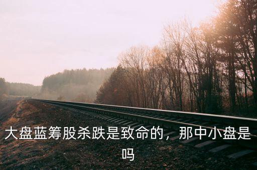 大盤藍(lán)籌股殺跌是致命的，那中小盤是嗎