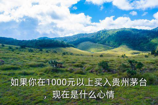 如果你在1000元以上買入貴州茅臺，現(xiàn)在是什么心情