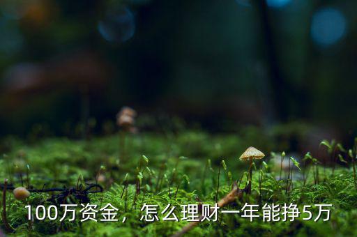 100萬資金，怎么理財(cái)一年能掙5萬
