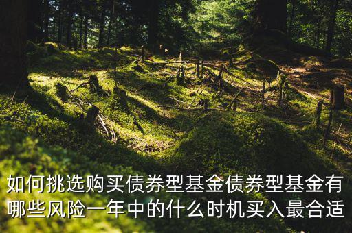 債券型基金怎么購買,債券型基金有哪些風險