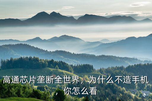 高通芯片壟斷全世界，為什么不造手機(jī)，你怎么看