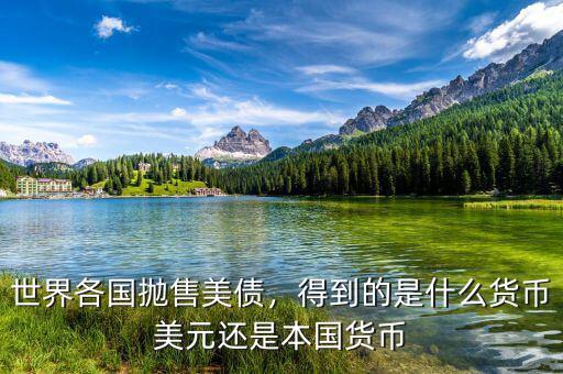 世界各國(guó)拋售美債，得到的是什么貨幣美元還是本國(guó)貨幣