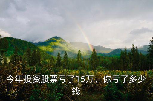今年投資股票虧了15萬，你虧了多少錢