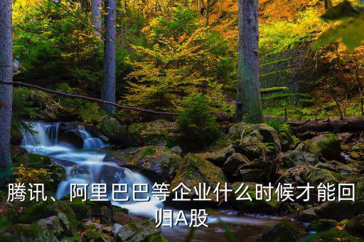 騰訊、阿里巴巴等企業(yè)什么時候才能回歸A股