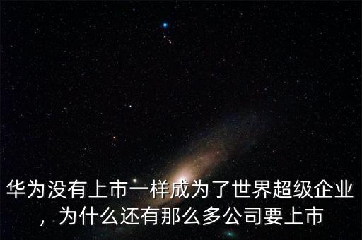 華為沒(méi)有上市一樣成為了世界超級(jí)企業(yè)，為什么還有那么多公司要上市