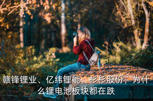 贛鋒鋰業(yè)、億緯鋰能、杉杉股份，為什么鋰電池板塊都在跌