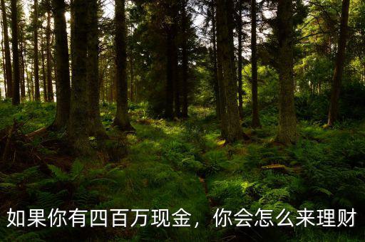 如果你有四百萬現(xiàn)金，你會怎么來理財
