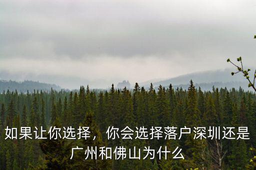 如果讓你選擇，你會選擇落戶深圳還是廣州和佛山為什么