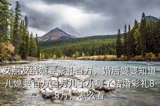 女朋友結(jié)婚要彩禮百萬，婚后婆婆知道兒媳要百萬因為兒子小舅子結(jié)婚彩禮88萬，怎么看