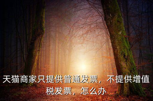 天貓商家只提供普通發(fā)票，不提供增值稅發(fā)票，怎么辦
