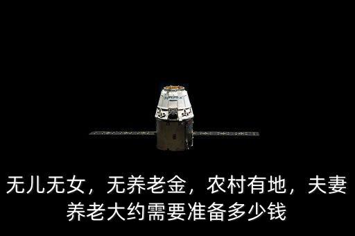無(wú)兒無(wú)女，無(wú)養(yǎng)老金，農(nóng)村有地，夫妻養(yǎng)老大約需要準(zhǔn)備多少錢(qián)