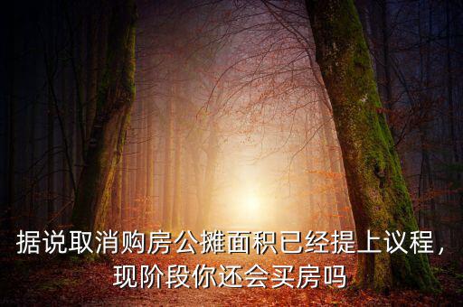 據(jù)說(shuō)取消購(gòu)房公攤面積已經(jīng)提上議程，現(xiàn)階段你還會(huì)買(mǎi)房嗎
