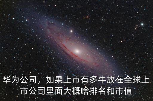 華為公司，如果上市有多牛放在全球上市公司里面大概啥排名和市值