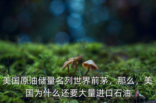美國原油儲量名列世界前茅，那么，美國為什么還要大量進口石油
