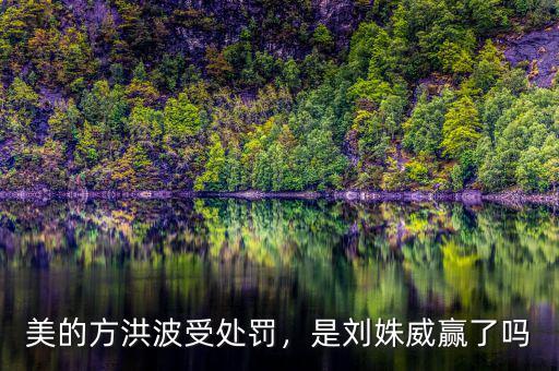 美的方洪波受處罰，是劉姝威贏了嗎