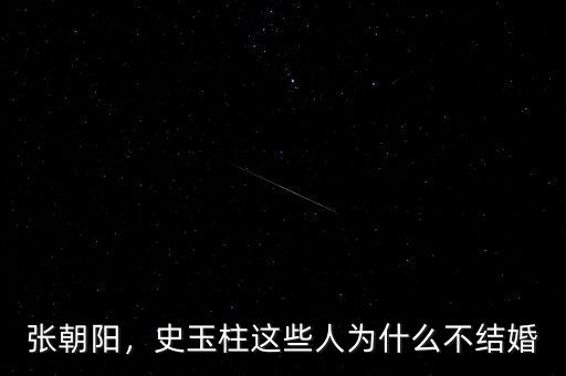 張朝陽，史玉柱這些人為什么不結婚