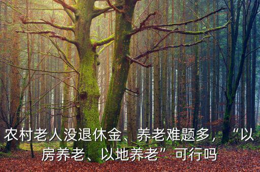 農(nóng)村老人沒(méi)退休金、養(yǎng)老難題多，“以房養(yǎng)老、以地養(yǎng)老”可行嗎