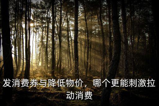 發(fā)消費(fèi)券與降低物價(jià)，哪個(gè)更能刺激拉動(dòng)消費(fèi)