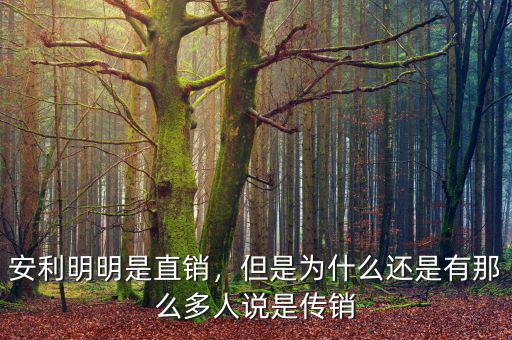 安利為什么是傳銷(xiāo),安利是不是都是傳銷(xiāo)