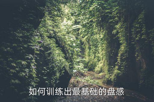 如何訓(xùn)練出最基礎(chǔ)的盤感