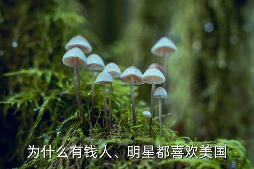 為什么有錢人、明星都喜歡美國