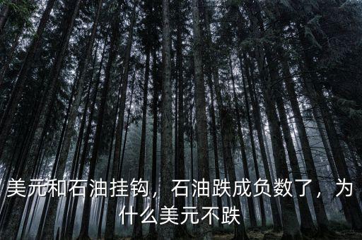 美元和石油掛鉤，石油跌成負(fù)數(shù)了，為什么美元不跌