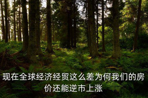 經濟這么差房價為什么還在上漲,為什么房價還在穩(wěn)中有漲呢
