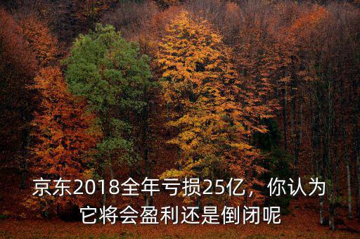 京東2018全年虧損25億，你認(rèn)為它將會盈利還是倒閉呢