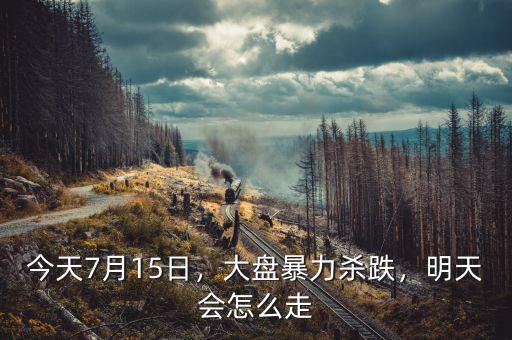 今天7月15日，大盤暴力殺跌，明天會怎么走