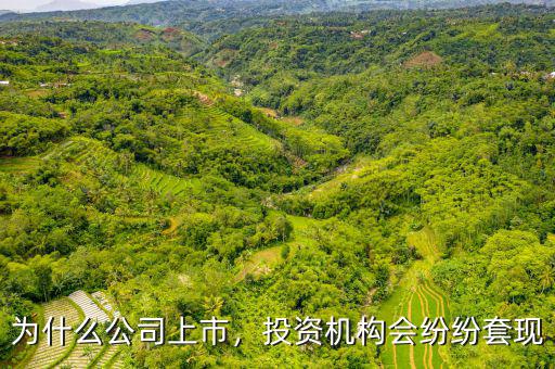 為什么公司上市，投資機構(gòu)會紛紛套現(xiàn)