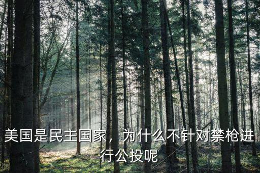 公投是什么,這個公投到底是什么