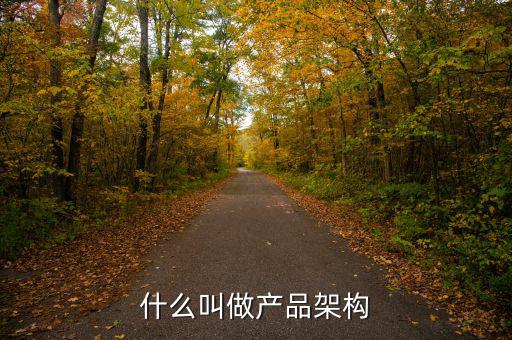 什么是產(chǎn)品銷售結(jié)構(gòu),在你看來什么是銷售