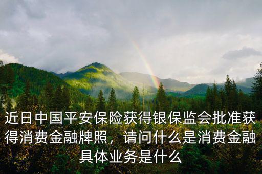 什么是貿金業(yè)務,具體業(yè)務是什么