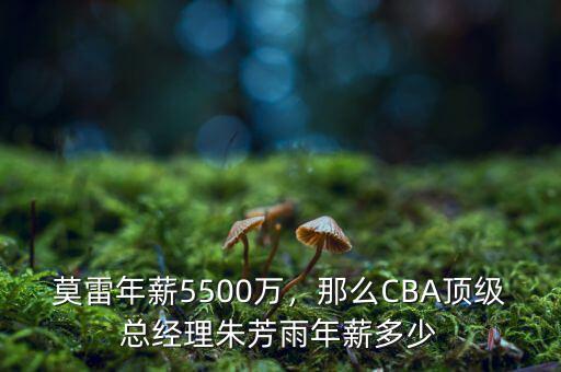 莫雷年薪5500萬(wàn)，那么CBA頂級(jí)總經(jīng)理朱芳雨年薪多少