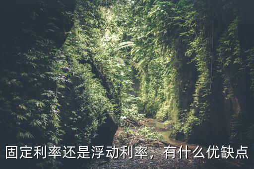 固定利率還是浮動利率，有什么優(yōu)缺點