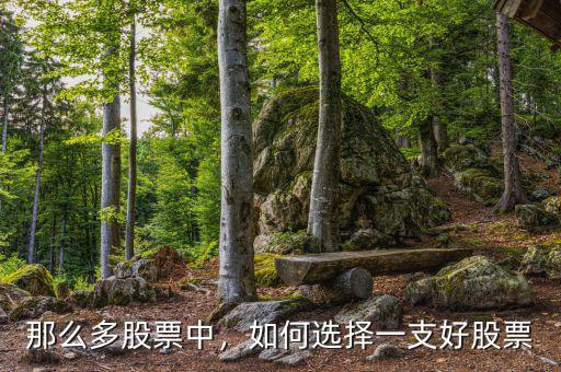 那么多股票中，如何選擇一支好股票