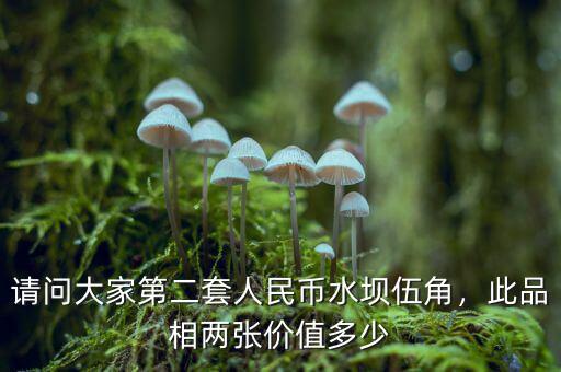 請問大家第二套人民幣水壩伍角，此品相兩張價值多少