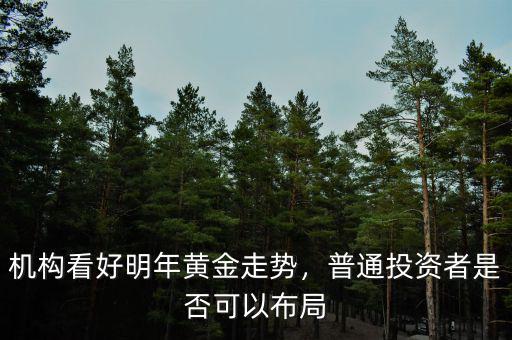 機(jī)構(gòu)看好明年黃金走勢(shì)，普通投資者是否可以布局